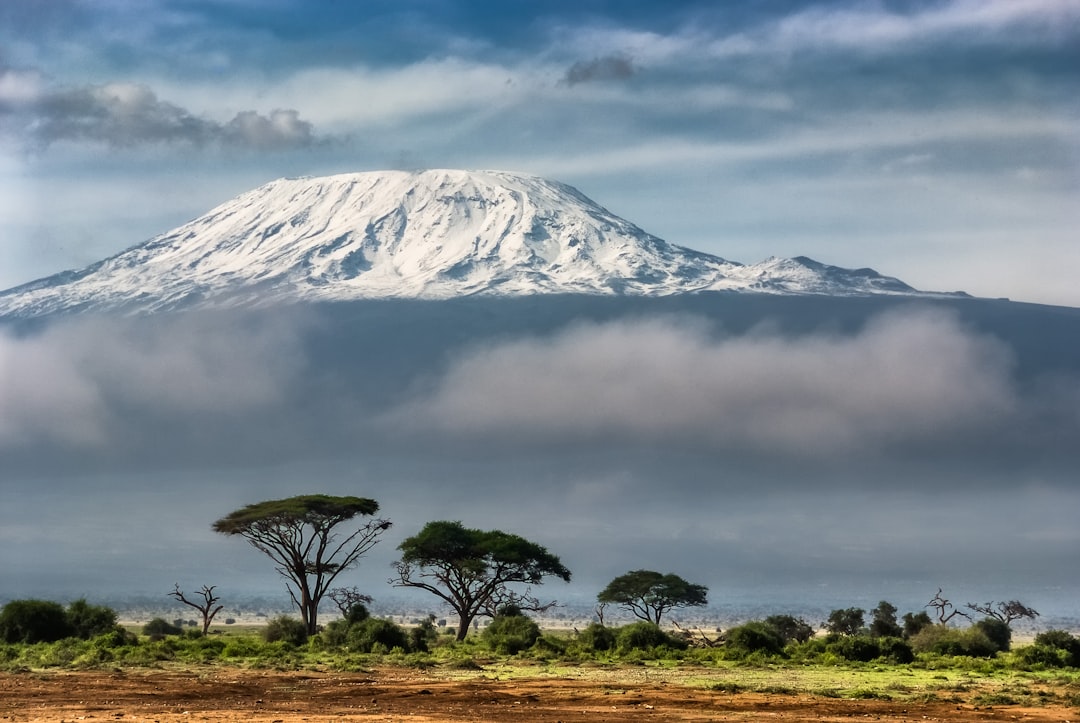 Elephants with snow-capped Mount Kilimanjaro in the background at Amboseli National Park, Kenya