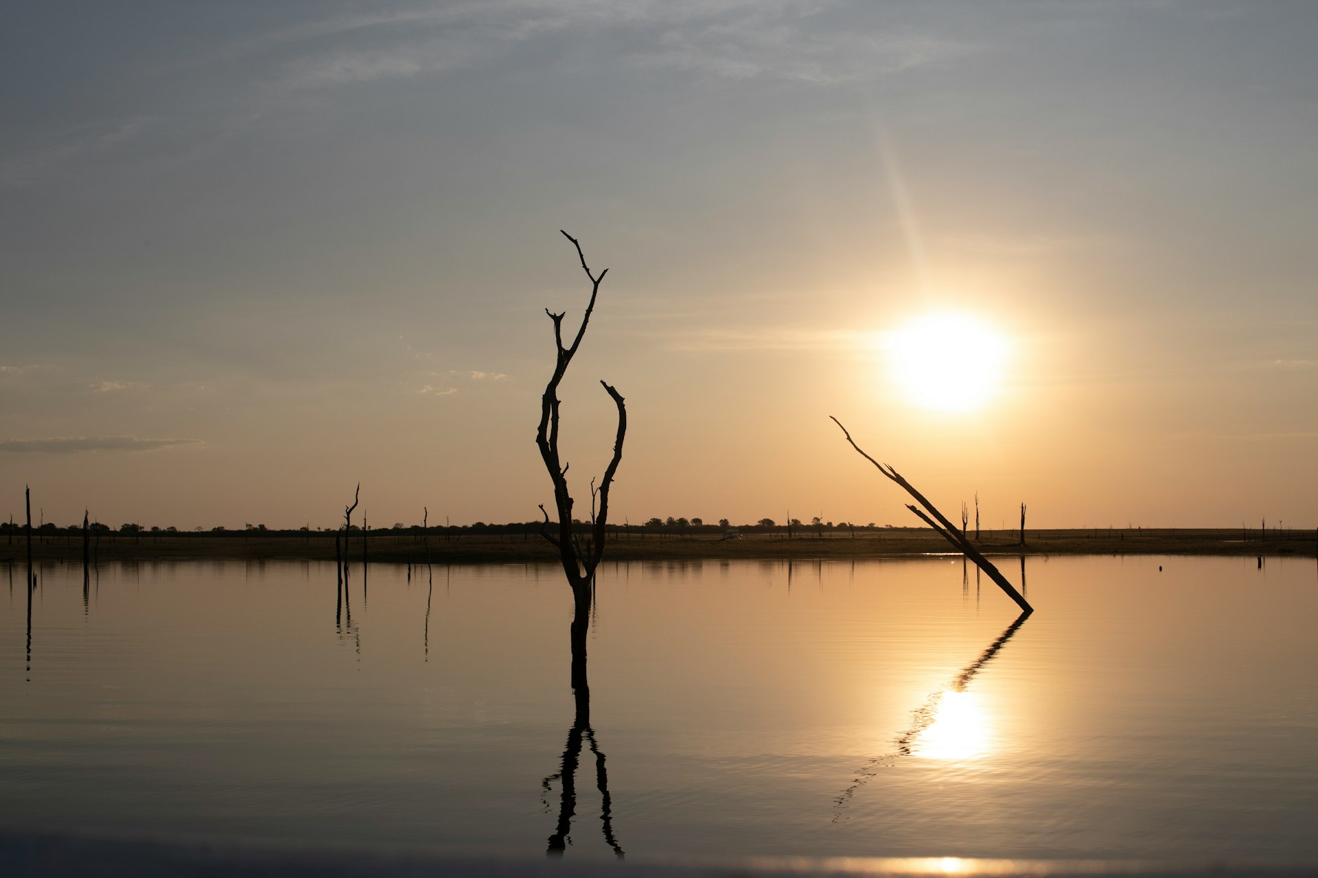 A bleached dead tree breaking the calm surface of Lake Kariba