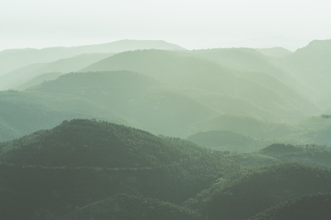 Misty highland grasslands — the afromontane landscape of Malolotja Nature Reserve, Eswatini