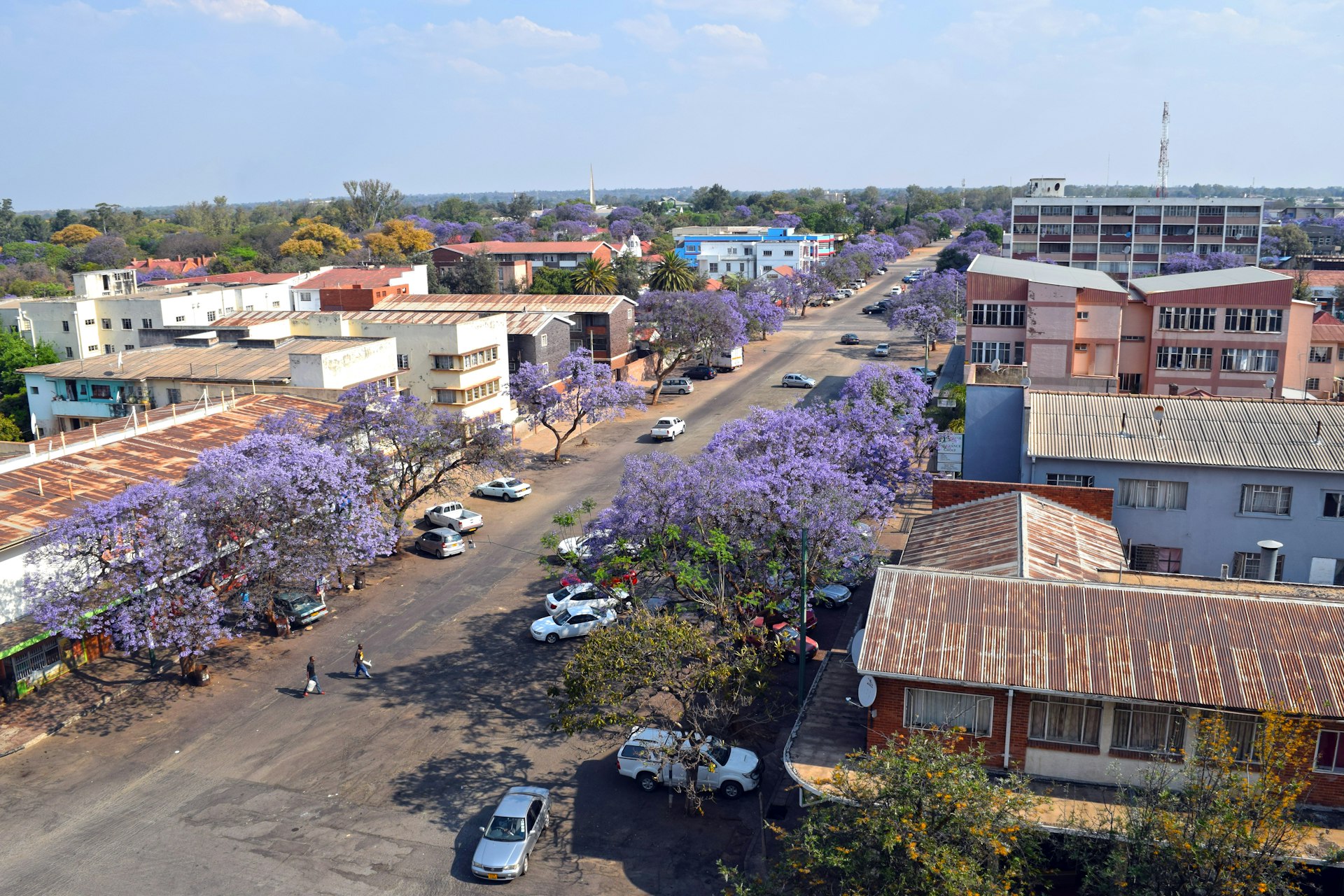 A central Bulawayo street lined with parked cars and commercial buildings